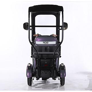 Triciclu Electric RDB Panda 5, 650W, 60V20Ah, Fără permis